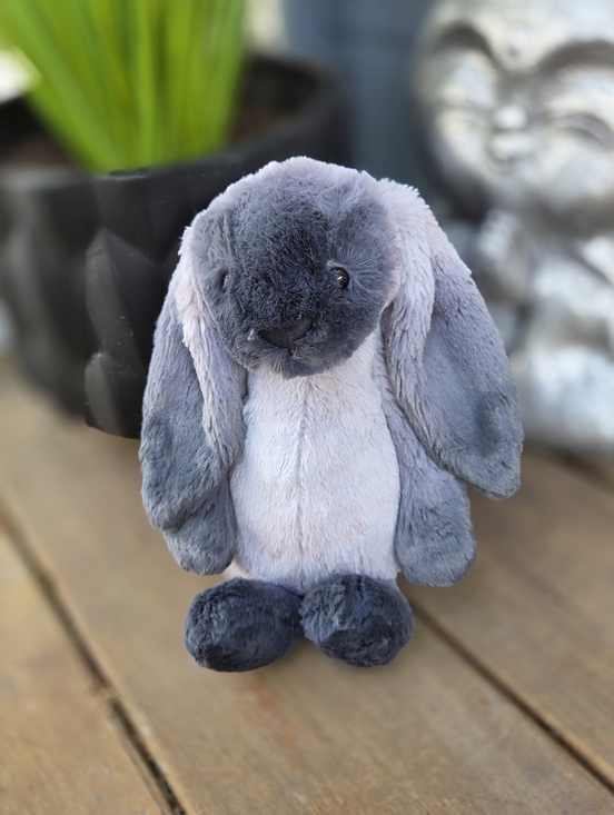 Jellycat Other - NWT Customized Jellycat Medium Bashful Bunny " Bradley"